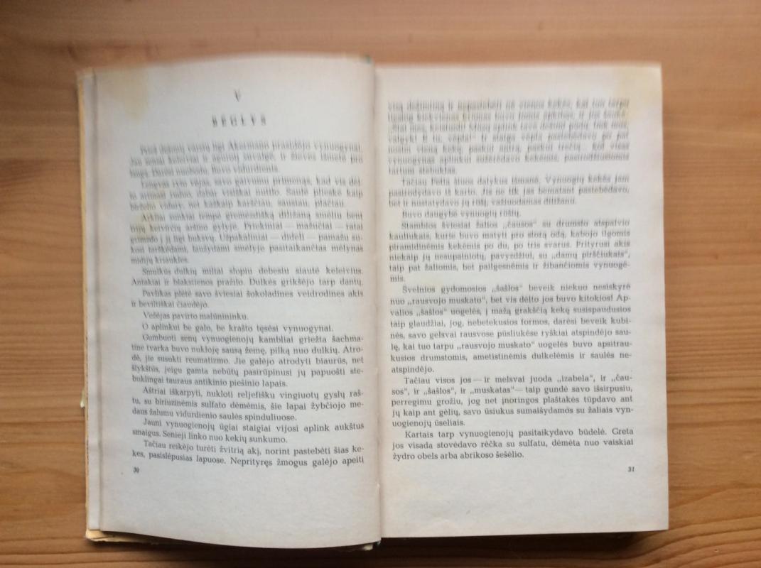 Baltuoja burė tolumoj - Valentinas Katajevas, knyga 4