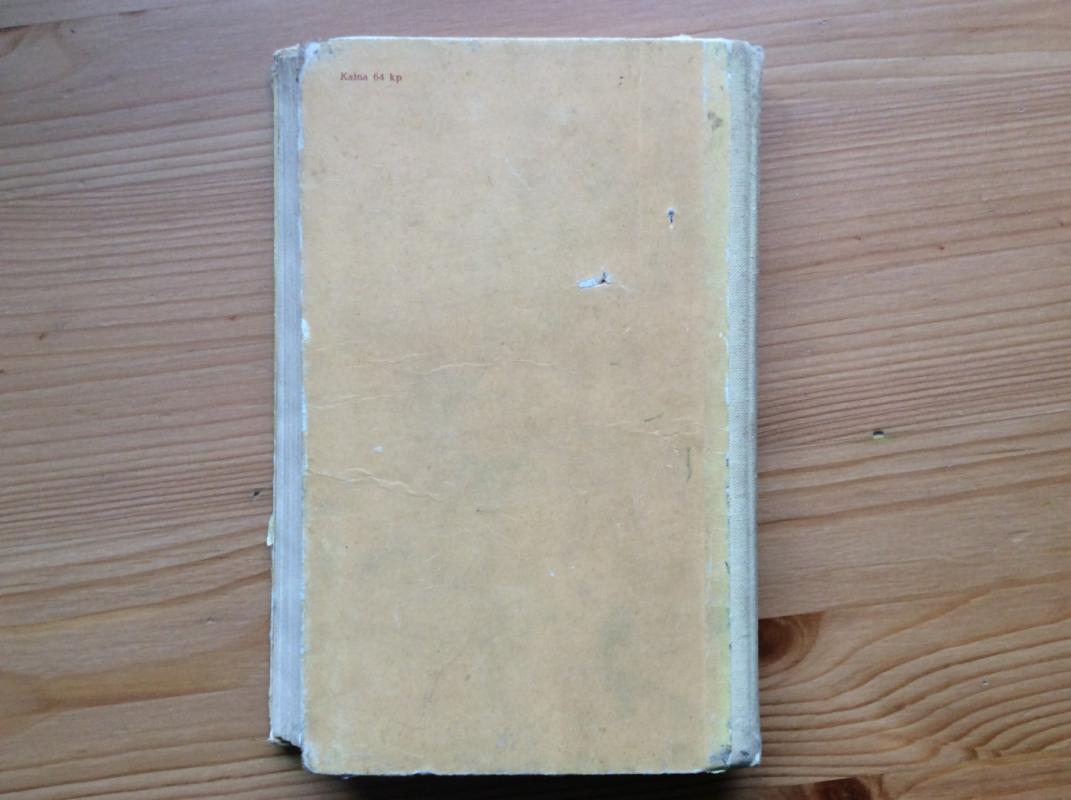 Baltuoja burė tolumoj - Valentinas Katajevas, knyga 5