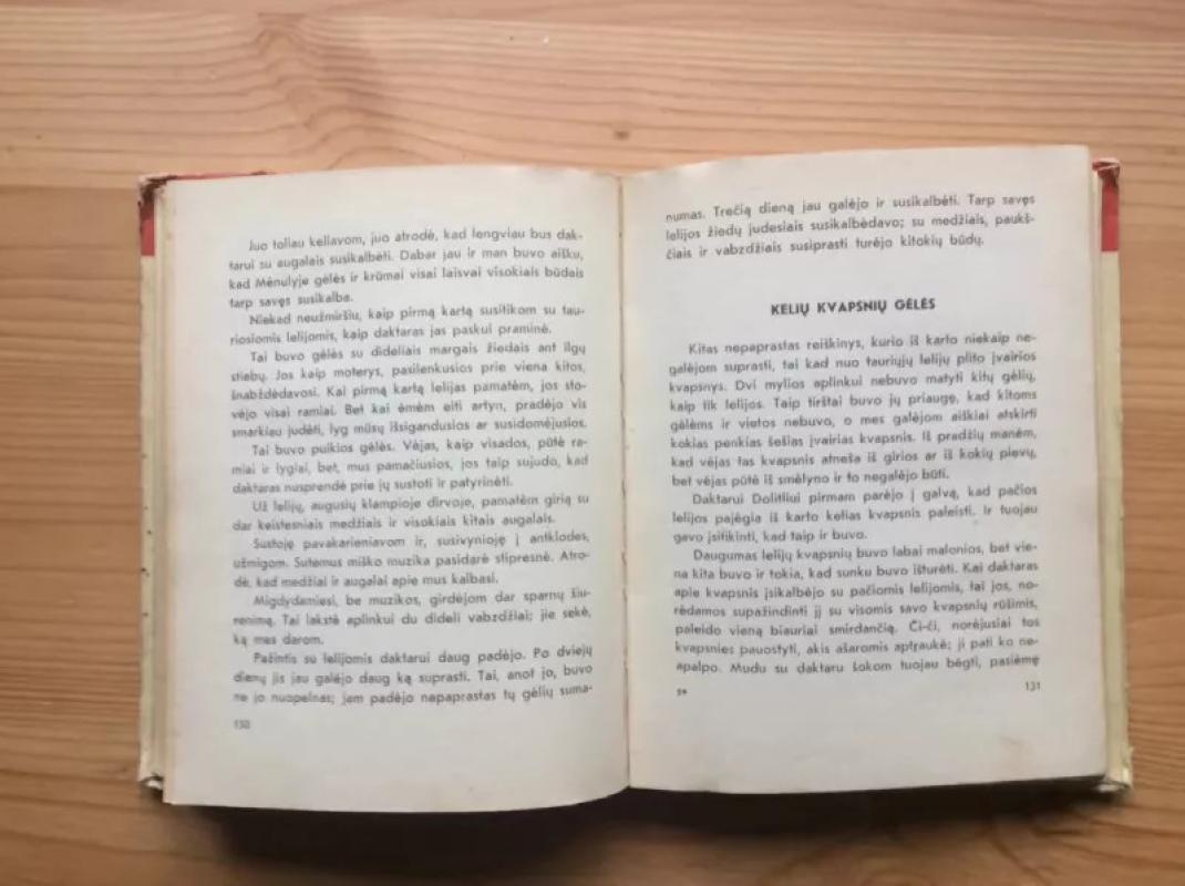 Daktaro Dolitlio didžiausioji kelionė - Hju Loftingas, knyga 4