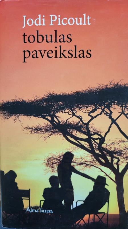 Tobulas paveikslas - Jodi Picoult, knyga 2
