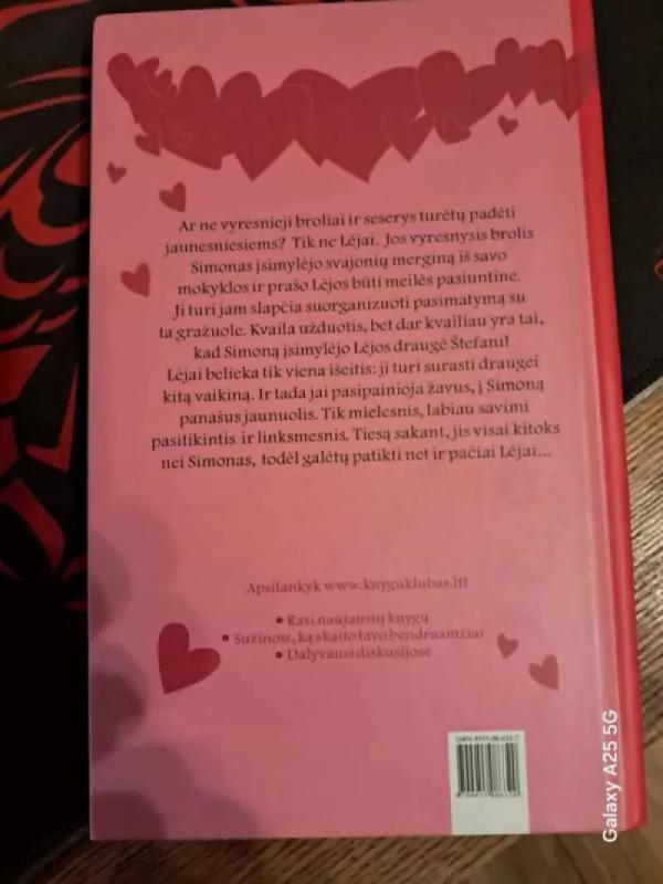 Netikri pasimatymai ir tikra meilė - Christian Bieniek, Vanessa Walder, knyga 2