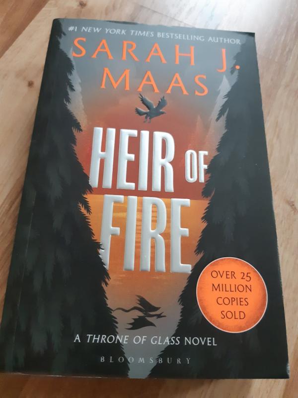 Throne of Glass knygų serija - Sarah J. Maas, knyga 4