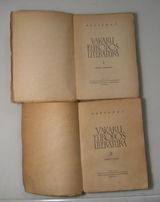 Vakarų europos literatūra (2 tomai) - P. Koganas, knyga 6