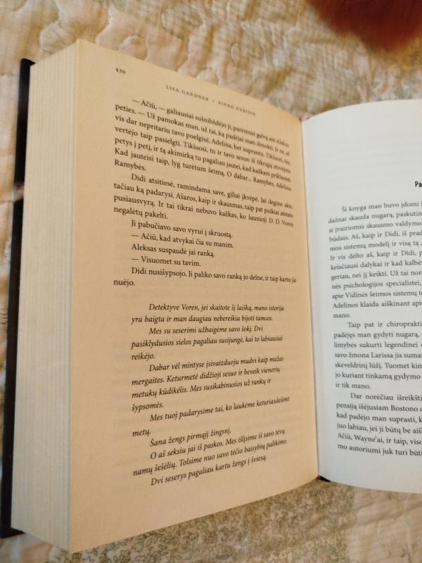 Nieko nebijok - Lisa Gardner, knyga 5