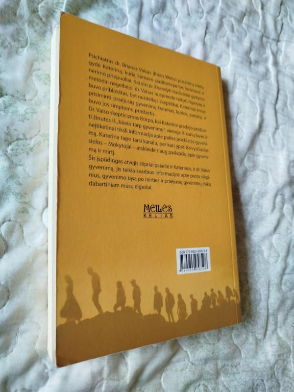 Praeiti gyvenimai, sutikti mokytojai - Brian Weiss, knyga 6