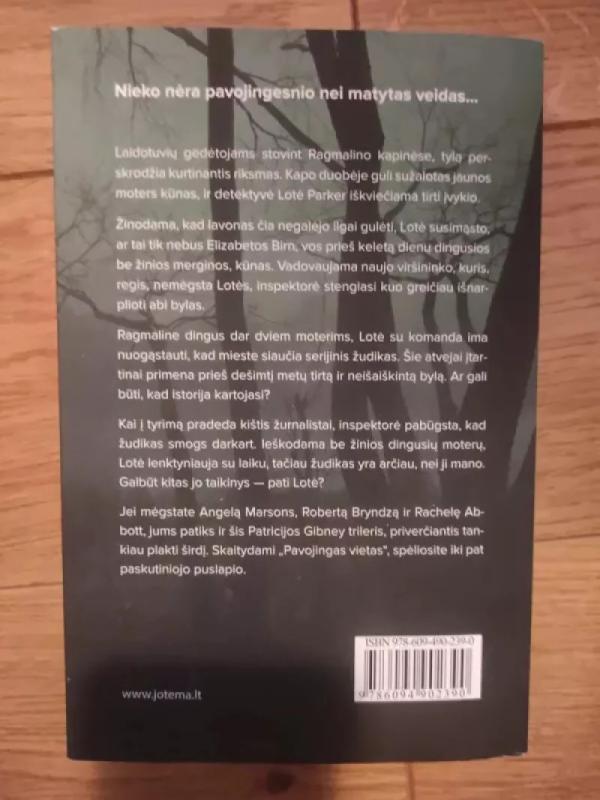 Pavojingos vietos - Patricia Gibney, knyga 3