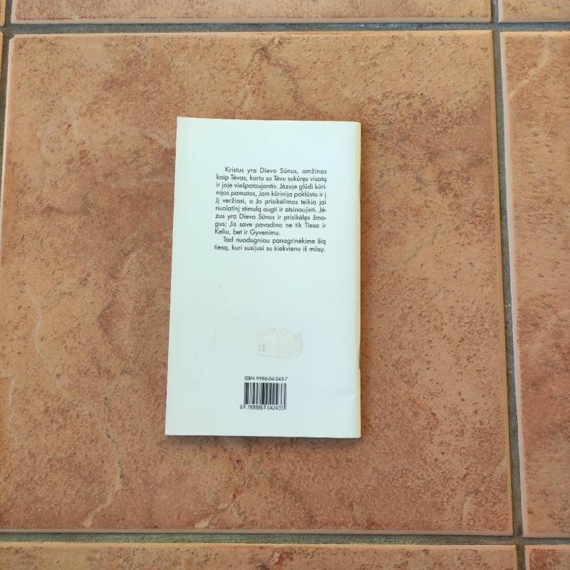 Ar pažįsti Jėzų? - Antonio Fanuli, knyga 3