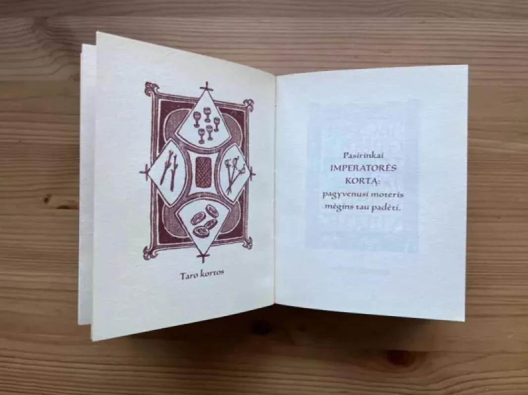 Meilės orakulas - Autorių Kolektyvas, knyga 5