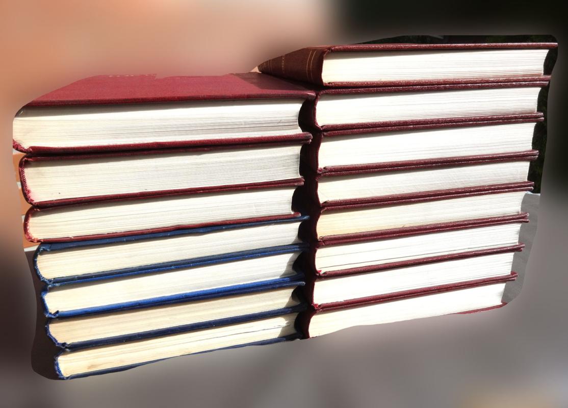 Kasmetinis DTE papildymas ("Ežegodnik") - Autorių Kolektyvas, knyga 4