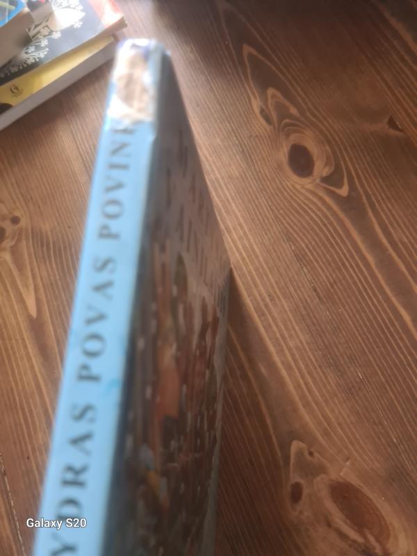 Žydras povas povinėja - Martynas Vainilaitis, knyga 5