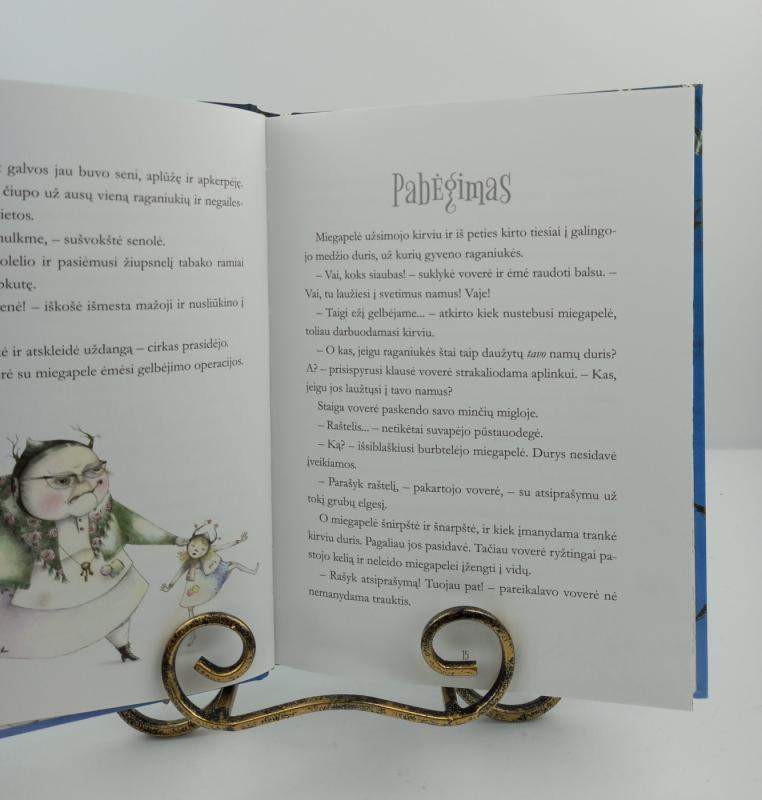 Raganiukė ir užkerėtasis akmuo - Jana Bauer, knyga 3