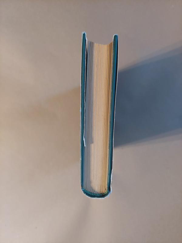 Milžinas po sniegu - John Gordon, knyga 3