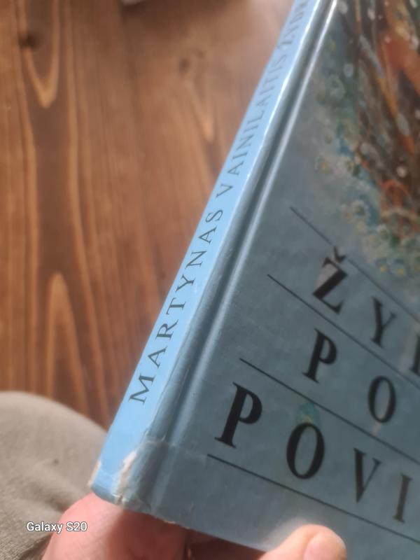 Žydras povas povinėja - Martynas Vainilaitis, knyga 4