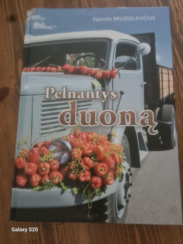 Pelnantys duoną - Kęstutis Bruzgelevičius, knyga 2