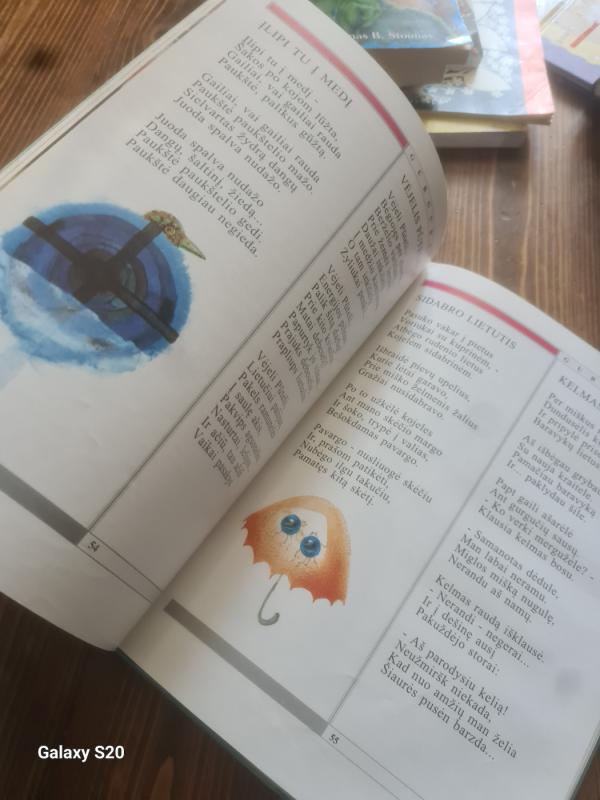 Žydras povas povinėja - Martynas Vainilaitis, knyga 3