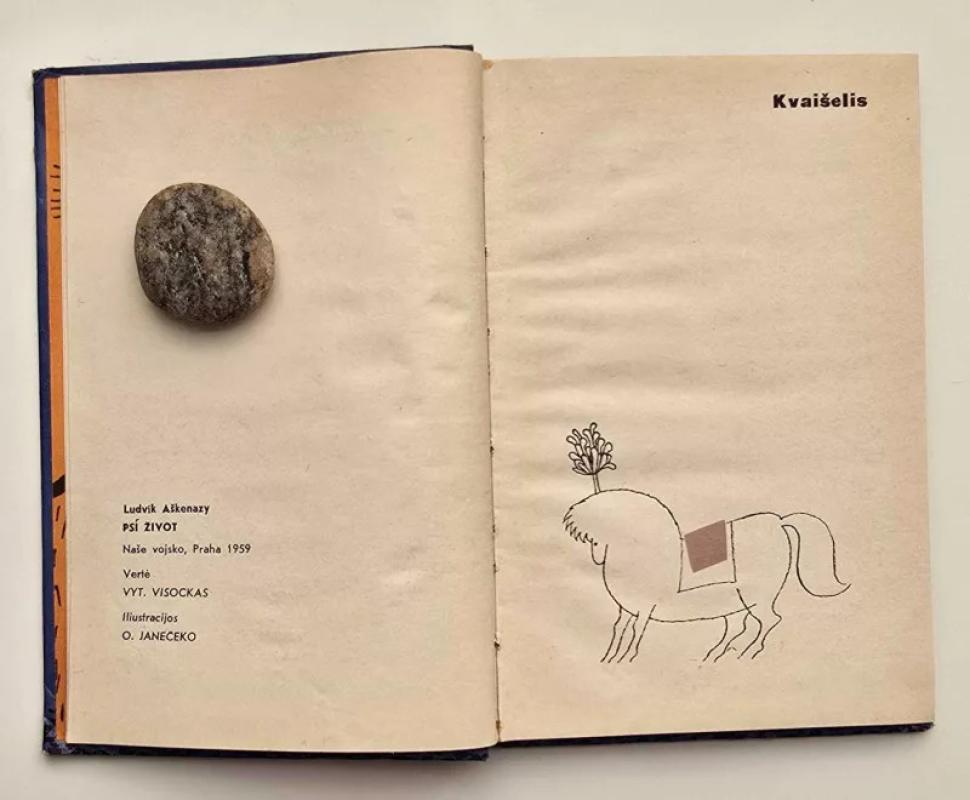 Šuns gyvenimas - Liudvikas Aškenazis, knyga 5