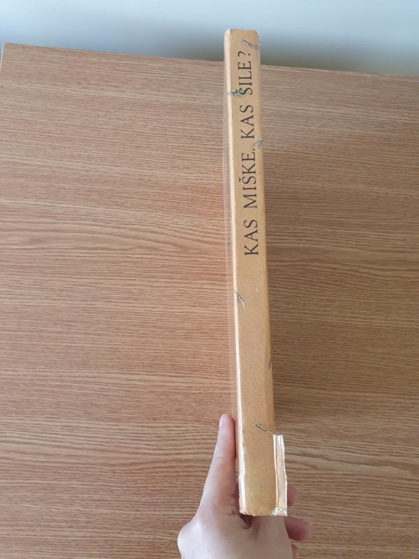 Kas miške, kas šile - Adelė Seselskytė, knyga 4