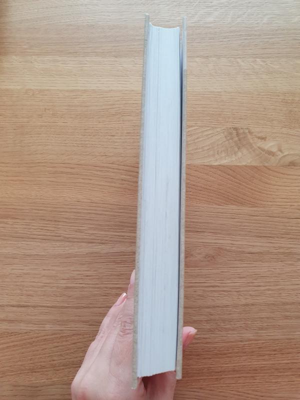 Durniškės - Vytautas Petkevičius, knyga 5