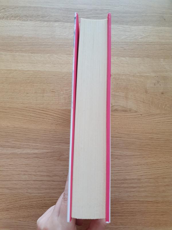 Ką aš padariau dėl meilės - Susan Elizabeth Phillips, knyga 5