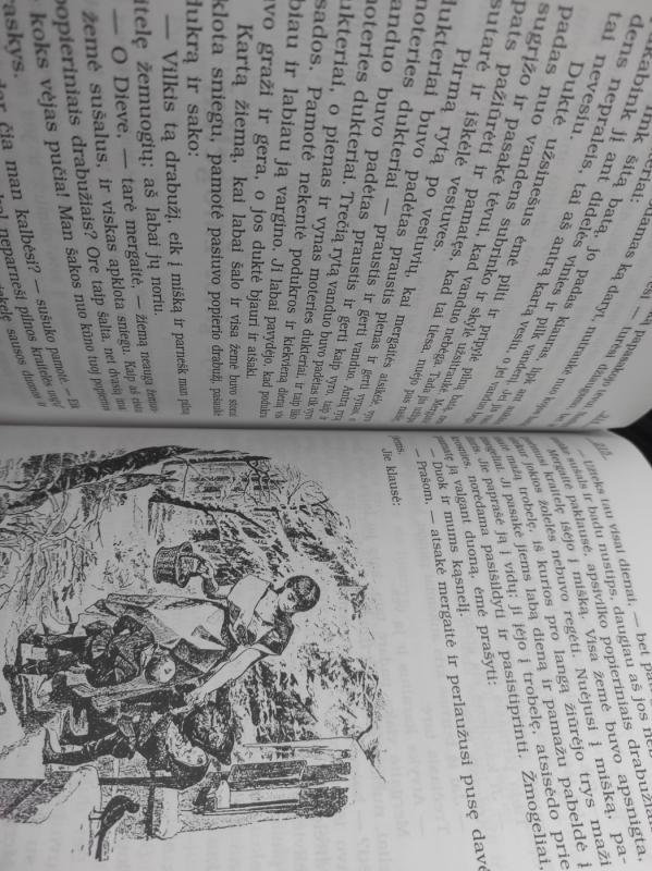 Gražiausios Brolių Grimų pasakos - Pranas Sasnauskas, knyga 4