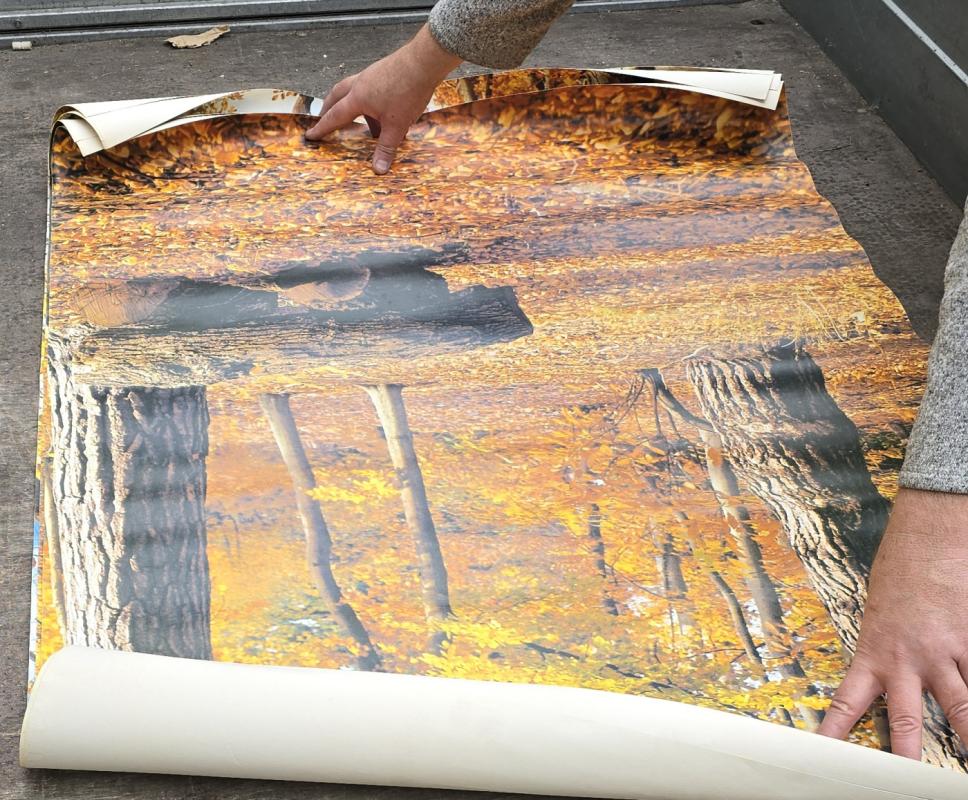 Dekoratyvinis tapetas - , namai ir interjeras 2