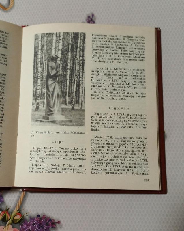 Literatūros panorama 87 - Arvydas Valionis, Ema Vanagienė, knyga 3