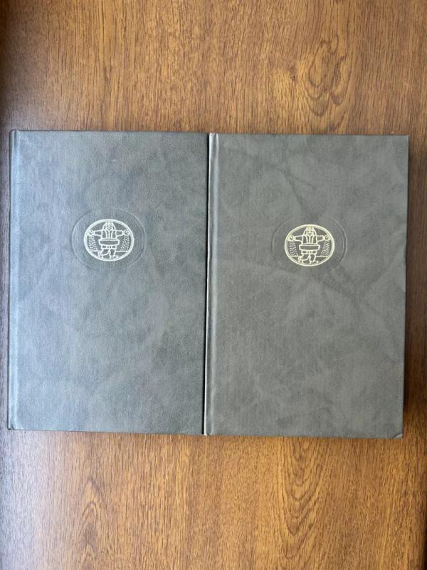 Tuštybės mugė (2 tomai) - Viljamas Meikpisas Tekerėjus, knyga 2