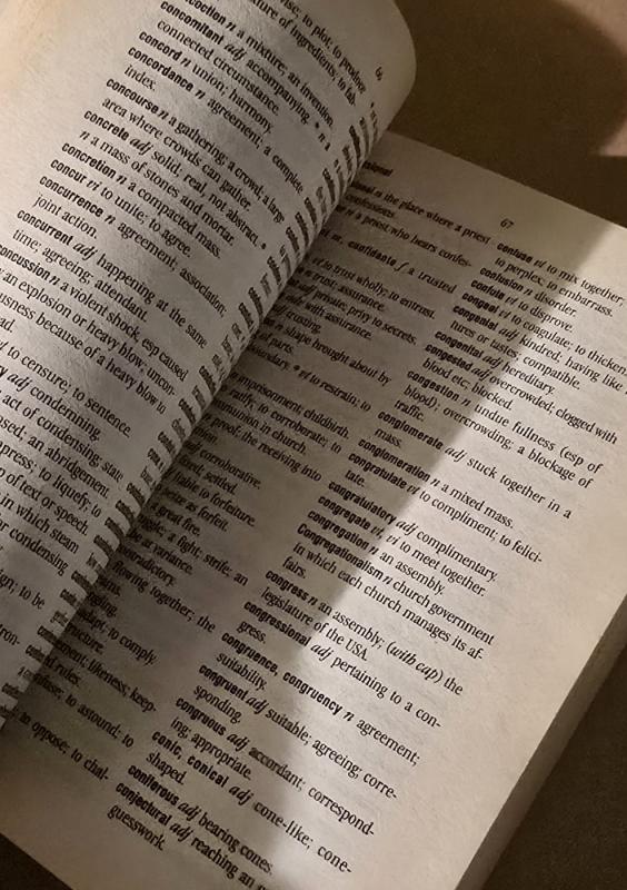 Webster English dictionary - Autorių Kolektyvas, knyga 4