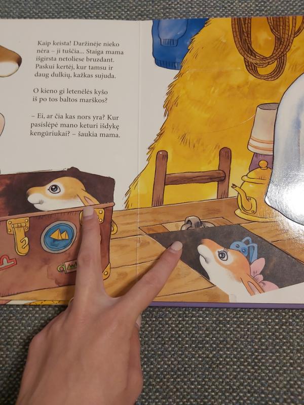 Keturi išdykę kengūriukai: dabar tai bus! - Matt Wolf, knyga 3