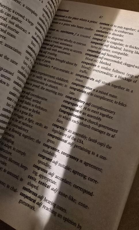 Webster English dictionary - Autorių Kolektyvas, knyga 3