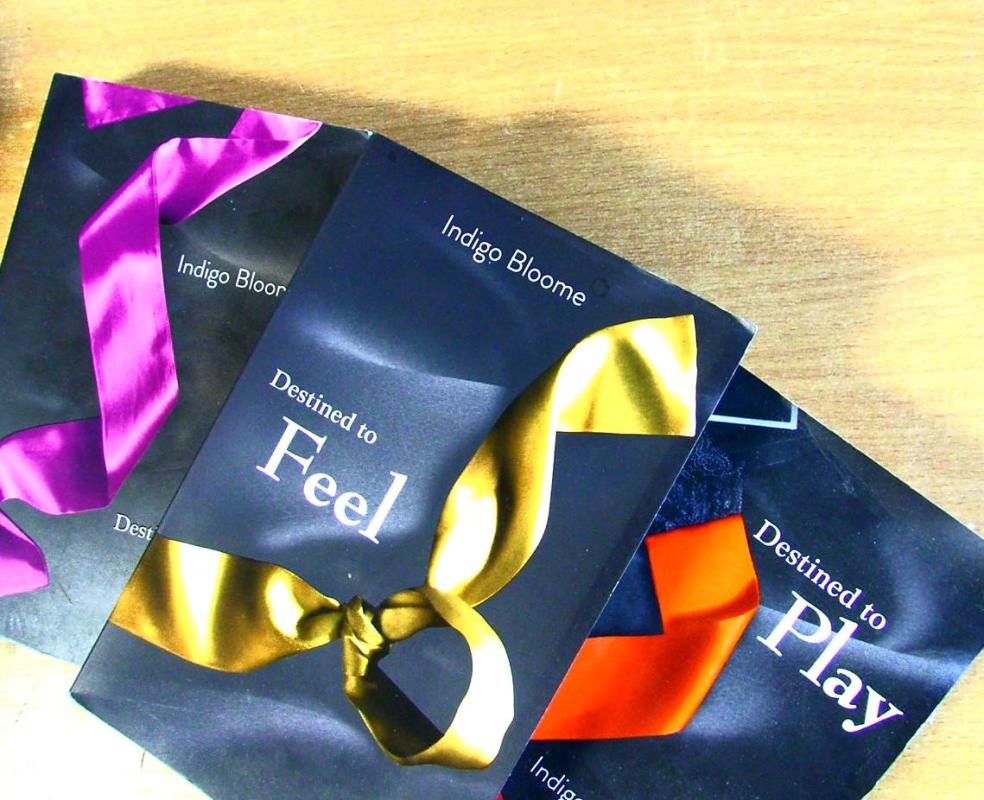 Destined to Feel -  Indigo Bloome , knyga 2
