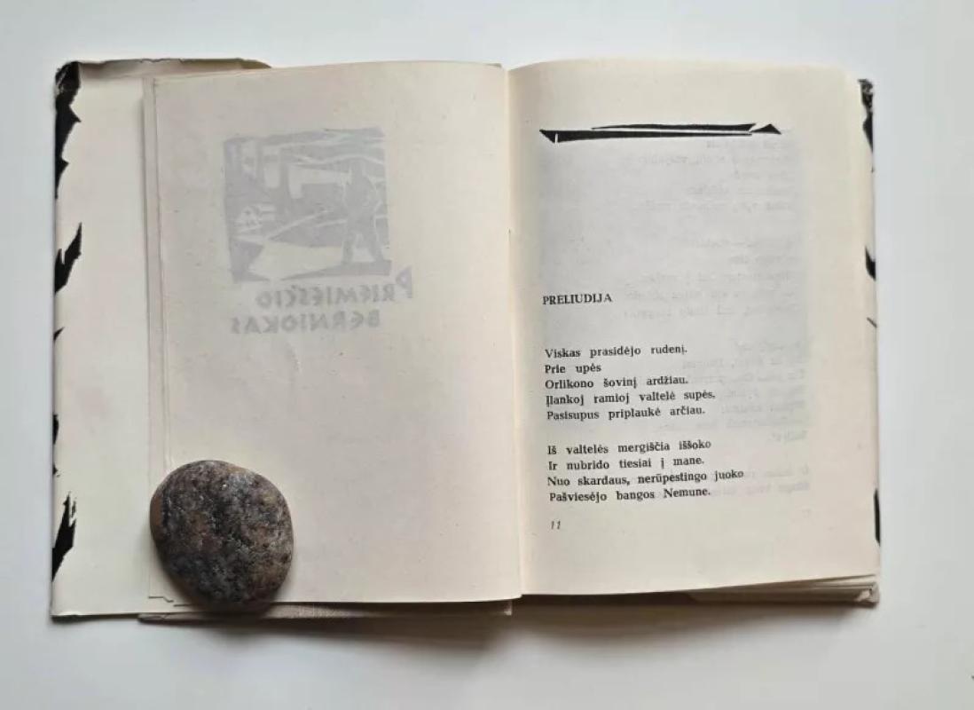 Velnio tiltas - A. Baltakis, knyga 5