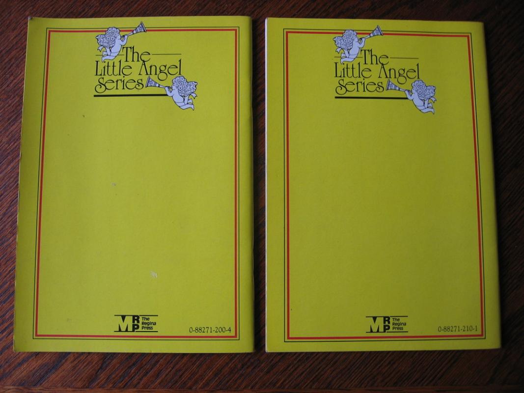 Dievas mane myli - s. Birutė Briliūtė, knyga 6