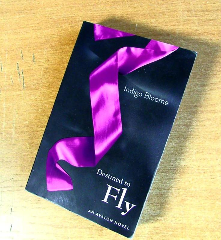 Destined to Feel -  Indigo Bloome , knyga 5