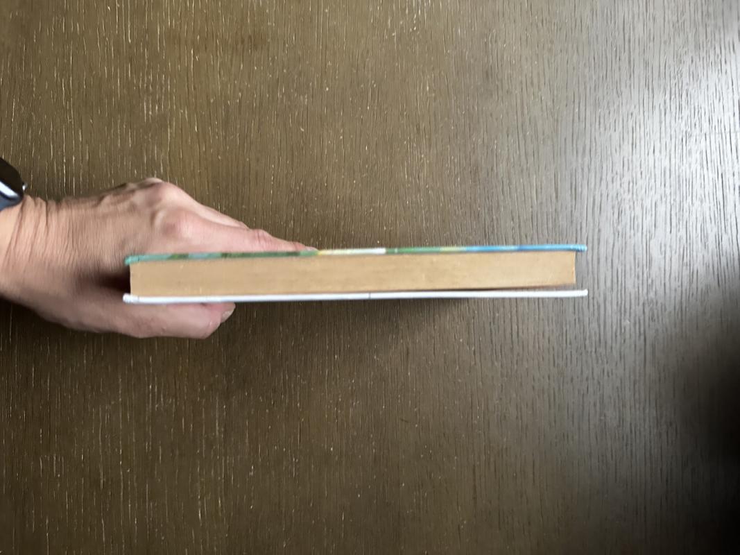 Katedros kuprius. Iliustruota didžioji klasika - Viktoras Hugo, knyga 5