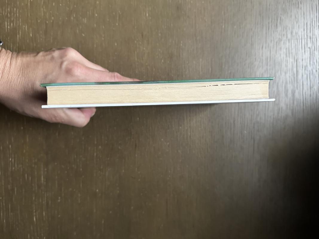 Didieji lūkesčiai - Charles Dickens, knyga 3