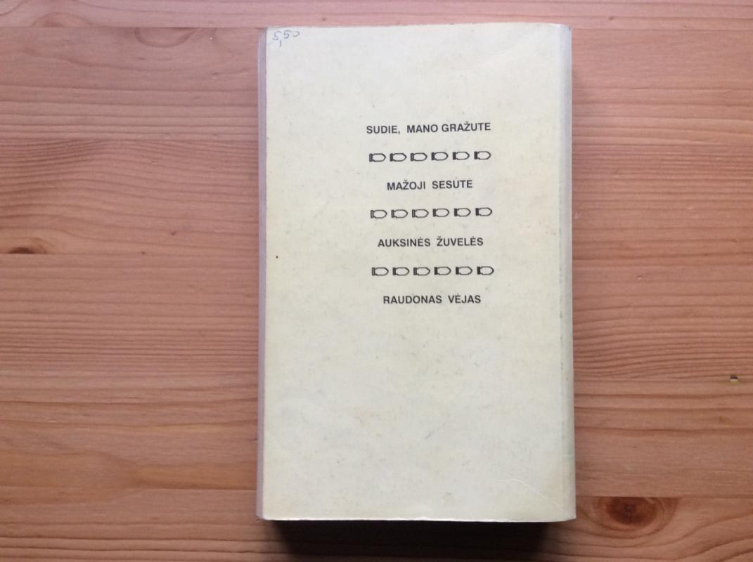 Privatus seklys (1 dalis) - Raymond Chandler, knyga 6