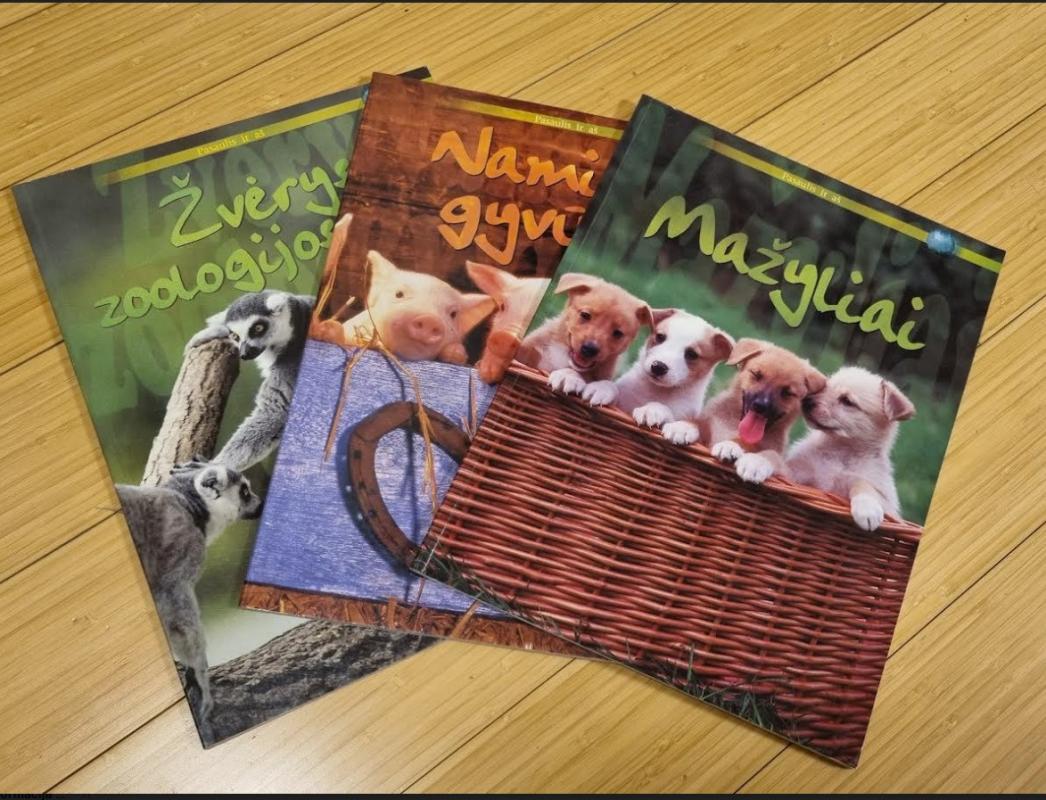 Mažyliai + Žvėrys zoologijos sode + Naminiai gyvūnai - Autorių Kolektyvas, knyga 2