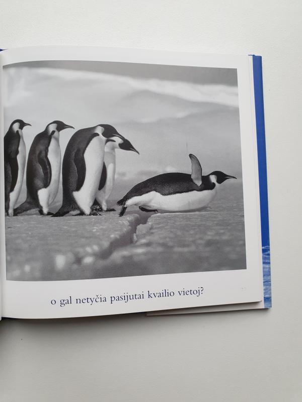 Kai liūdesys tave aplanko... - Autorių Kolektyvas, knyga 3