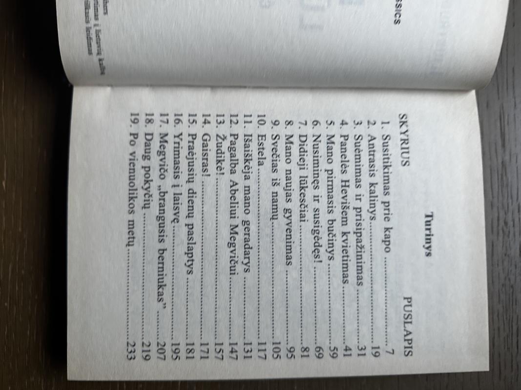 Didieji lūkesčiai - Charles Dickens, knyga 5