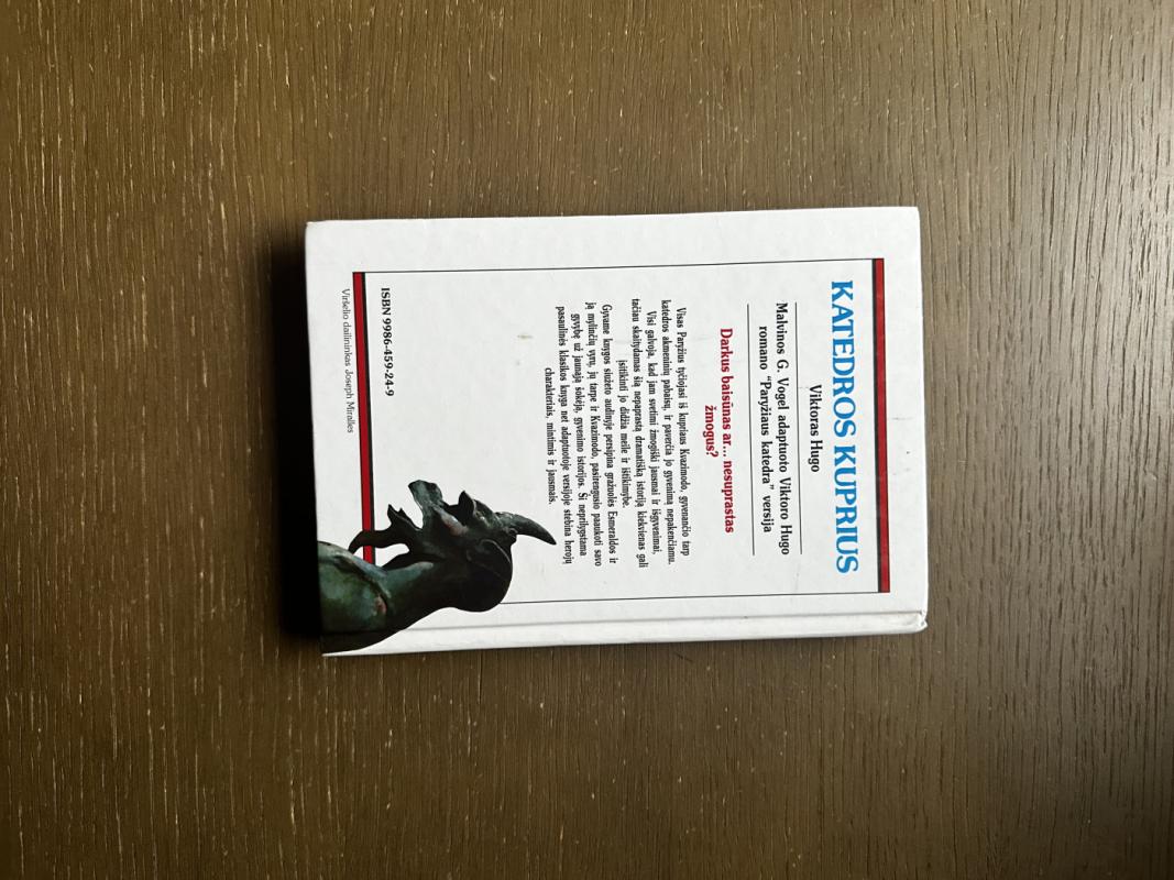 Katedros kuprius. Iliustruota didžioji klasika - Viktoras Hugo, knyga 3