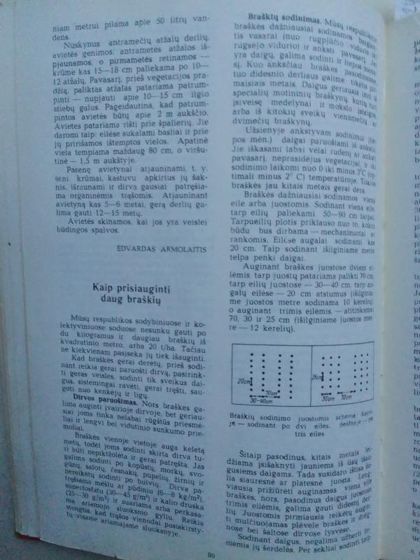 Kolūkiečio kalendorius 1979 - Autorių Kolektyvas, knyga 3