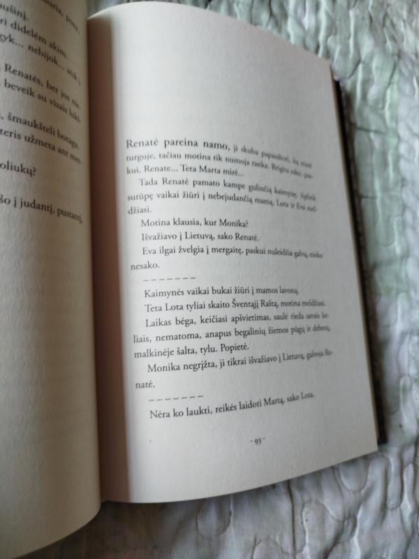 Mano vardas - Marytė - Alvydas Šlepikas, knyga 4