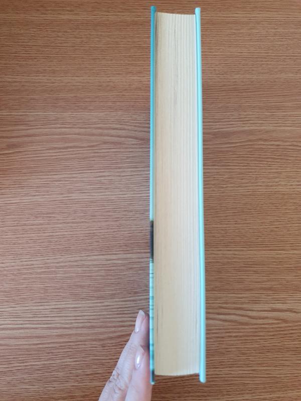 Įlanka vidurnaktį - Diane Chamberlain, knyga 5