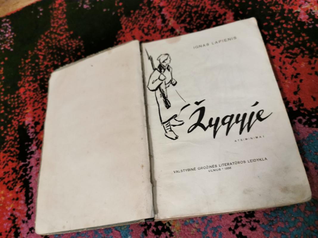 Žygyje - I. Lapienis, knyga 3