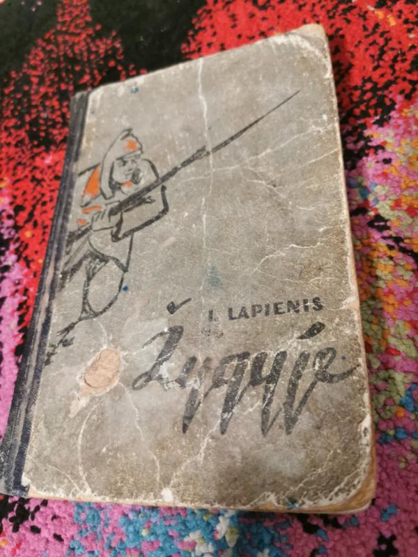 Žygyje - I. Lapienis, knyga 2