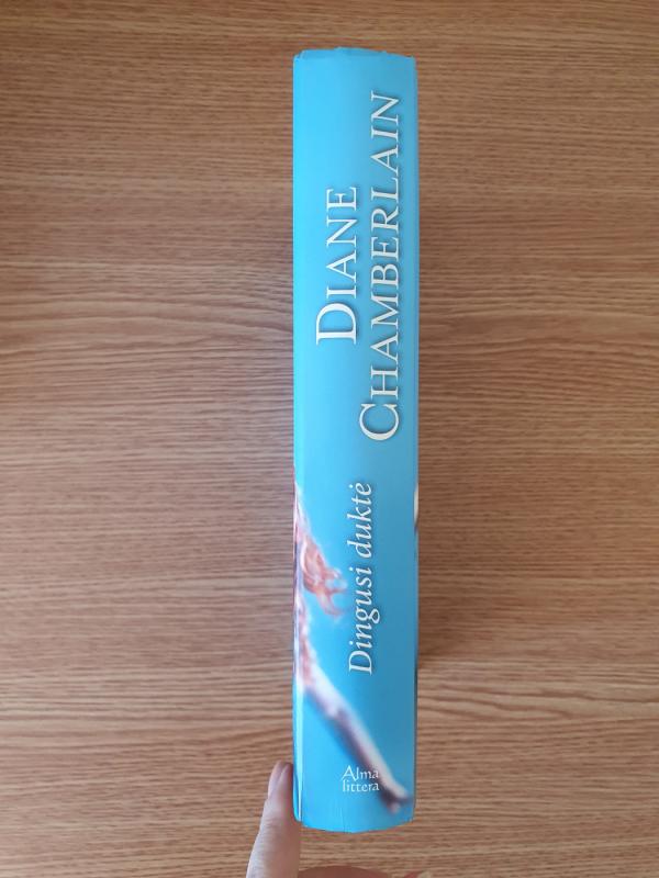 Dingusi duktė: [romanas] - Diane Chamberlain, knyga 4