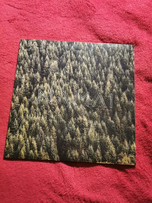 Kamanių Šilelis - Namai - Kamanių Šilelis, plokštelė 2