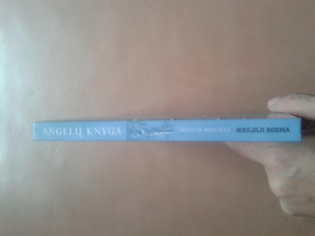 Angelų knyga - Francis Melville, knyga 3