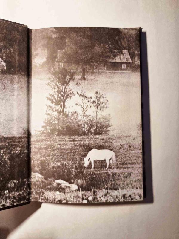 Oi, žirge žirge - Eugenijus Danilevičius, knyga 5